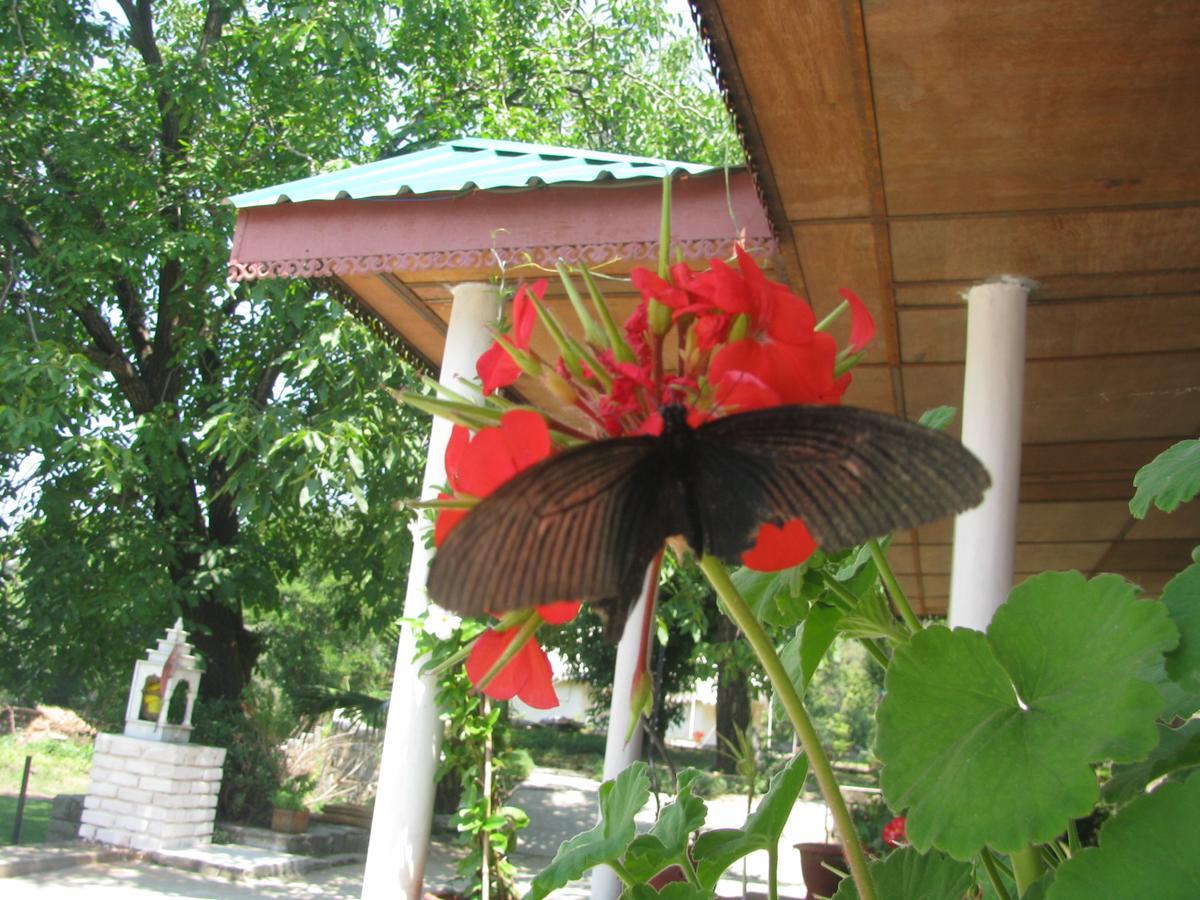 Tatva Bir Tents And Hotel Kangar Dış mekan fotoğraf