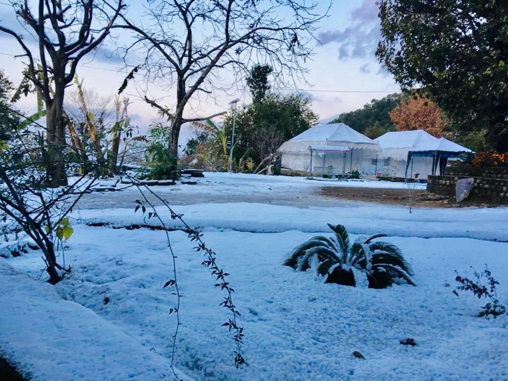 Tatva Bir Tents And Hotel Kangar Dış mekan fotoğraf